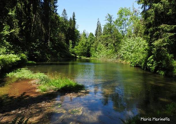 Parco Dell Argentera Un Luogo Incantato VareseNews