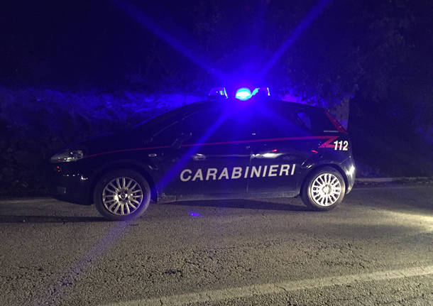 Scontro Tra Cervo E Auto A Laveno Varesenews Foto