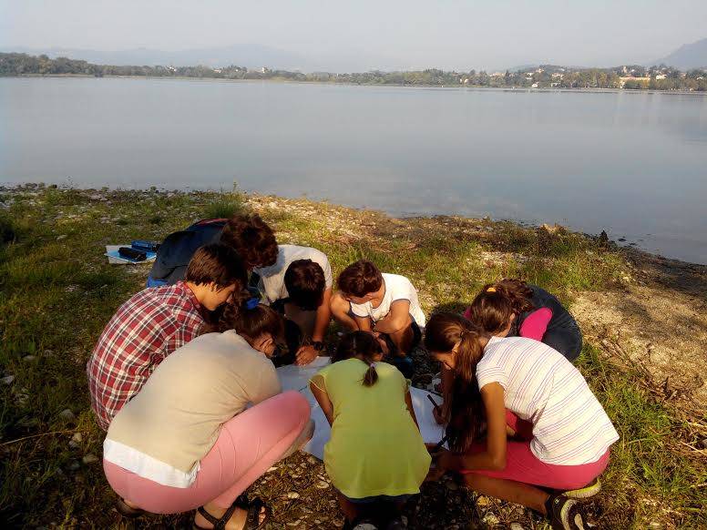 Makula La Scuola Senza Voti O Giudizi Varesenews Foto