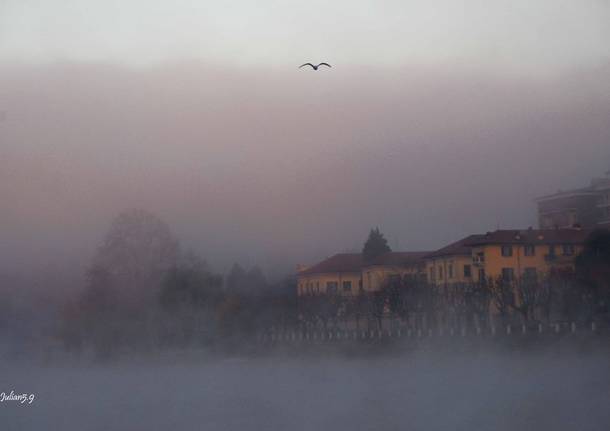 Nebbia Sul Fiume Varesenews