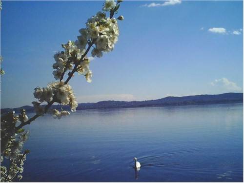 Primavera al lago