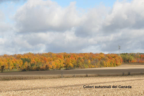 Un Canada dai mille colori