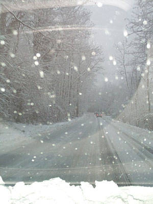 neve orino