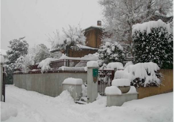 Le foto dei lettori  2 – nevicata 27 gennaio 2006