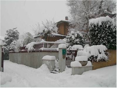 jerago neve