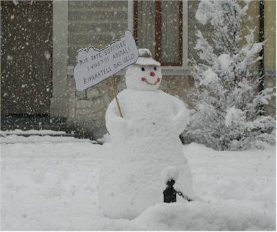 Uno splendido pupazzo di neve