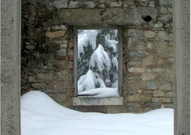 L’inverno nelle foto dei lettori