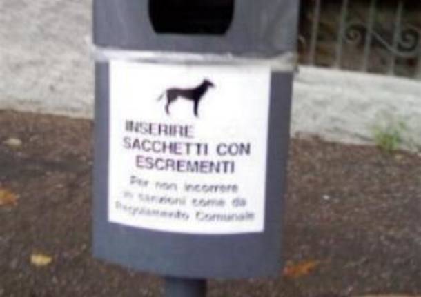 Civiltà canina