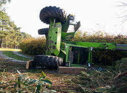 Travedona albero tagliato parco berrini