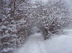 neve 2009 valganna M.R. Boldetti