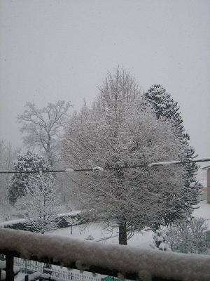 nevicata gennaio 2009 gurone di malnate