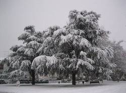nevicata gennaio 2009 gurone di malnate