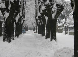 nevicata tradate 2009