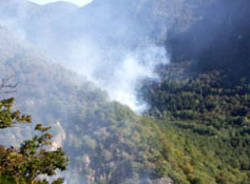 incendio bosco seconda seconda