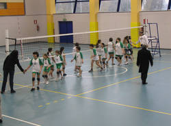 orma pallavolo