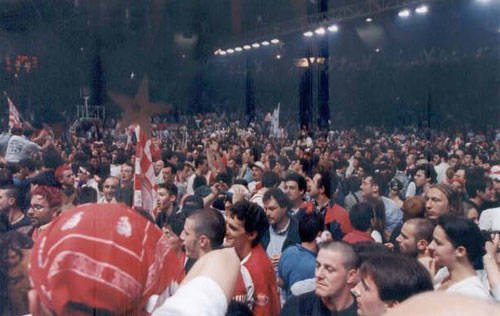 basket 1999 roosters