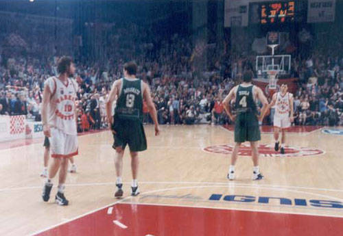 basket 1999 roosters