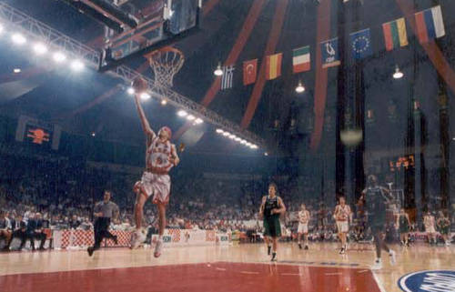 basket 1999 roosters