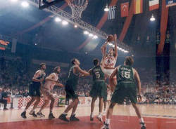 basket 1999 roosters