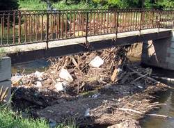 inquinamento degrado fiume olona parco medio olona