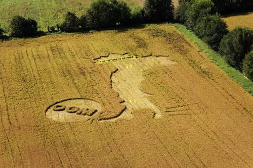 greenpeace ogm