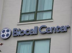 biocell boston