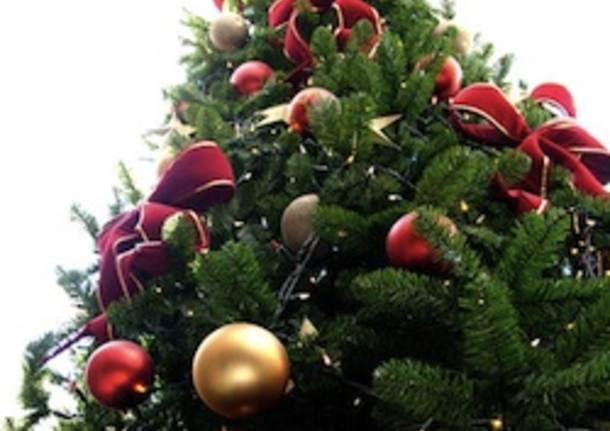 albero natale apertura