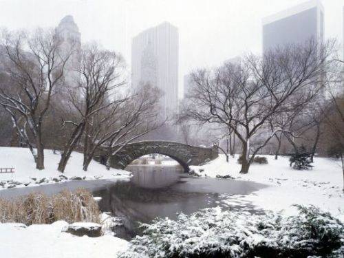 New York central park
