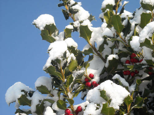 foto neve lettori dicembre 2009