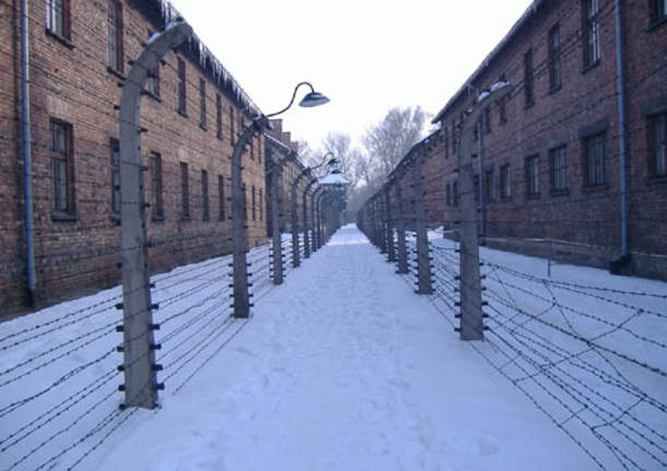 Gaia Croce Auschwitz