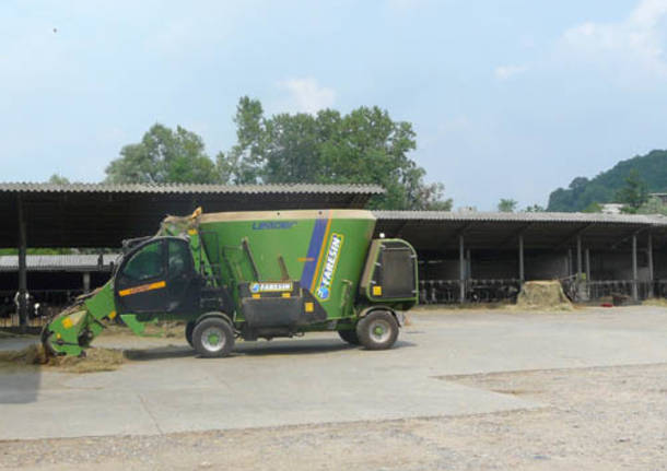 azienda agricola bergamina francesco brumana