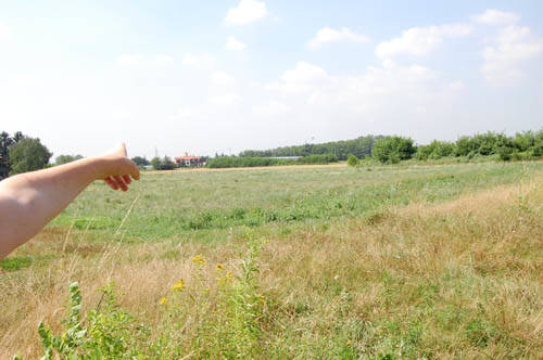 nonna quercia pedemontana boschi gorla minore