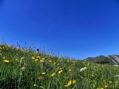 Cielo 2024 e prato