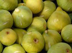 fichi fico frutto