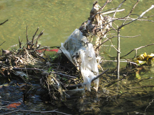 fiume olona gallaria areali