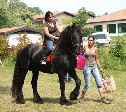 agrifest 2011 casciago pro loco morosolo
