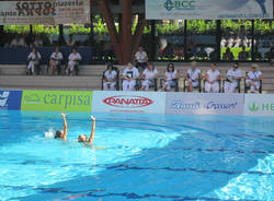 nuoto sincronizzato comen cup manara busto arsizio 2011