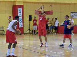 pallacanestro varese 2011-2012 malnate