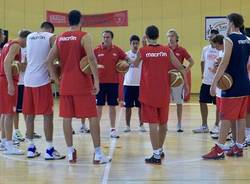 pallacanestro varese 2011-2012 malnate