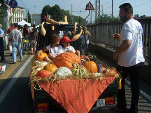 tradate fiera zootecnica 2011