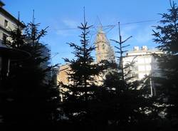 Un giardino in piazza monte Grappa (inserita in galleria)