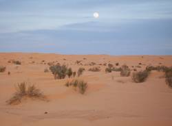 100 chilometri nel deserto (inserita in galleria)