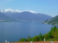 Pino sul Lago Maggiore (inserita in galleria)