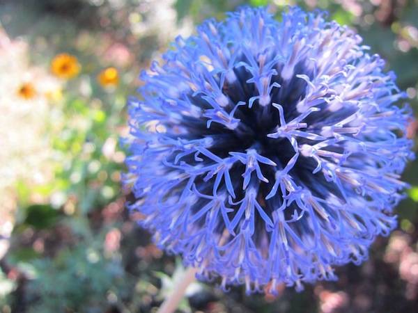 La sfera blu