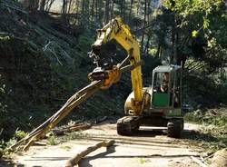 I lavori per rimuovere gli alberi a Castelveccana (inserita in galleria)