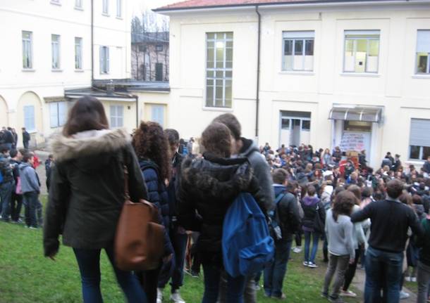 cairoli liceo classico occupazione studenti