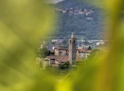 La storia del vino in Canton Ticino (inserita in galleria)