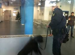 Equitalia, il cane antibomba (inserita in galleria)