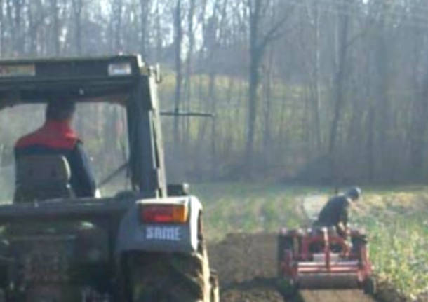 broggini crugnola agricoltura agricoltori