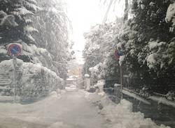 Neve: le  strade a Varese stamattina (inserita in galleria)